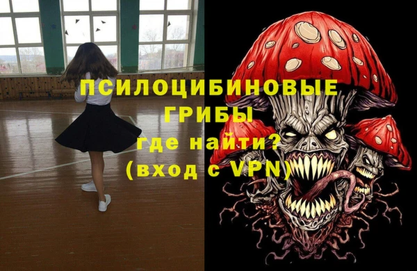 mix Белокуриха