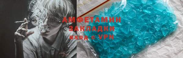 сатива Беломорск