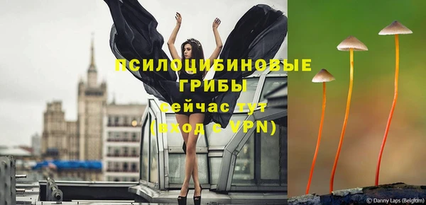 mix Белокуриха