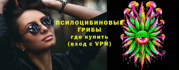 сатива Беломорск