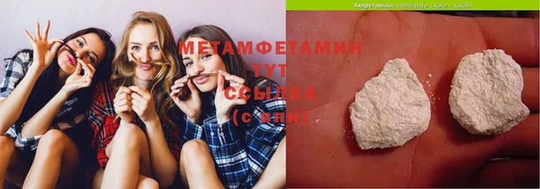 сатива Беломорск