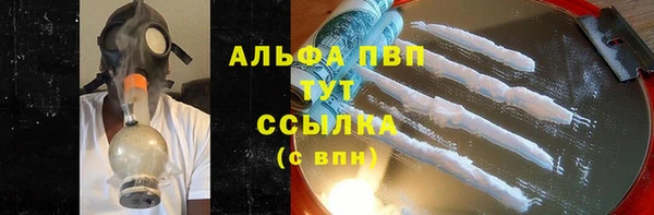 сатива Беломорск
