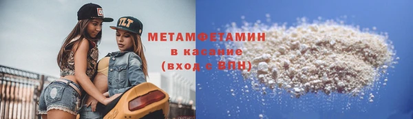 сатива Беломорск