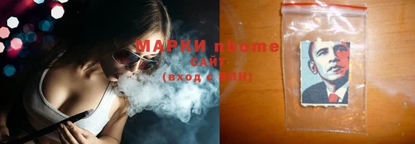 сатива Беломорск