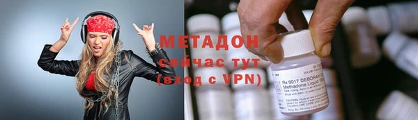 сатива Беломорск