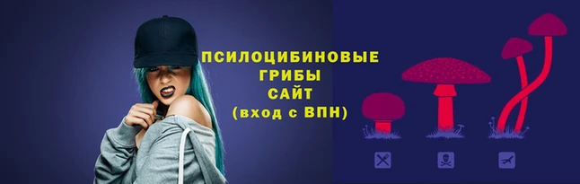 сатива Беломорск