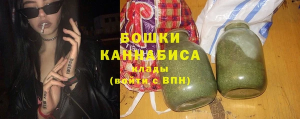 сатива Беломорск