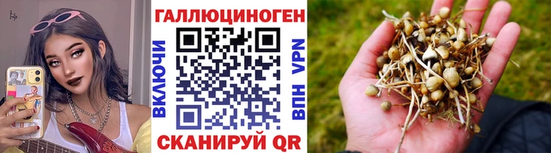 Галлюциногенные грибы прущие грибы Белозерск